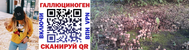 Галлюциногенные грибы MAGIC MUSHROOMS  Голицыно 